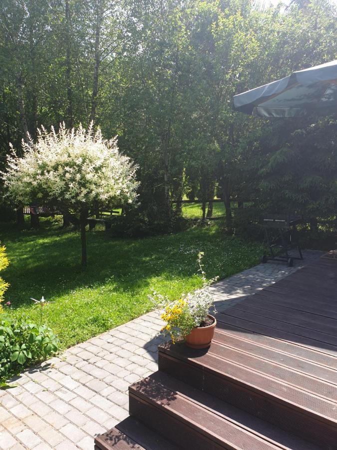 Domki Letniskowe Pod Lasem Koziniec Экстерьер фото
